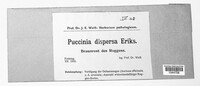 Puccinia dispersa image